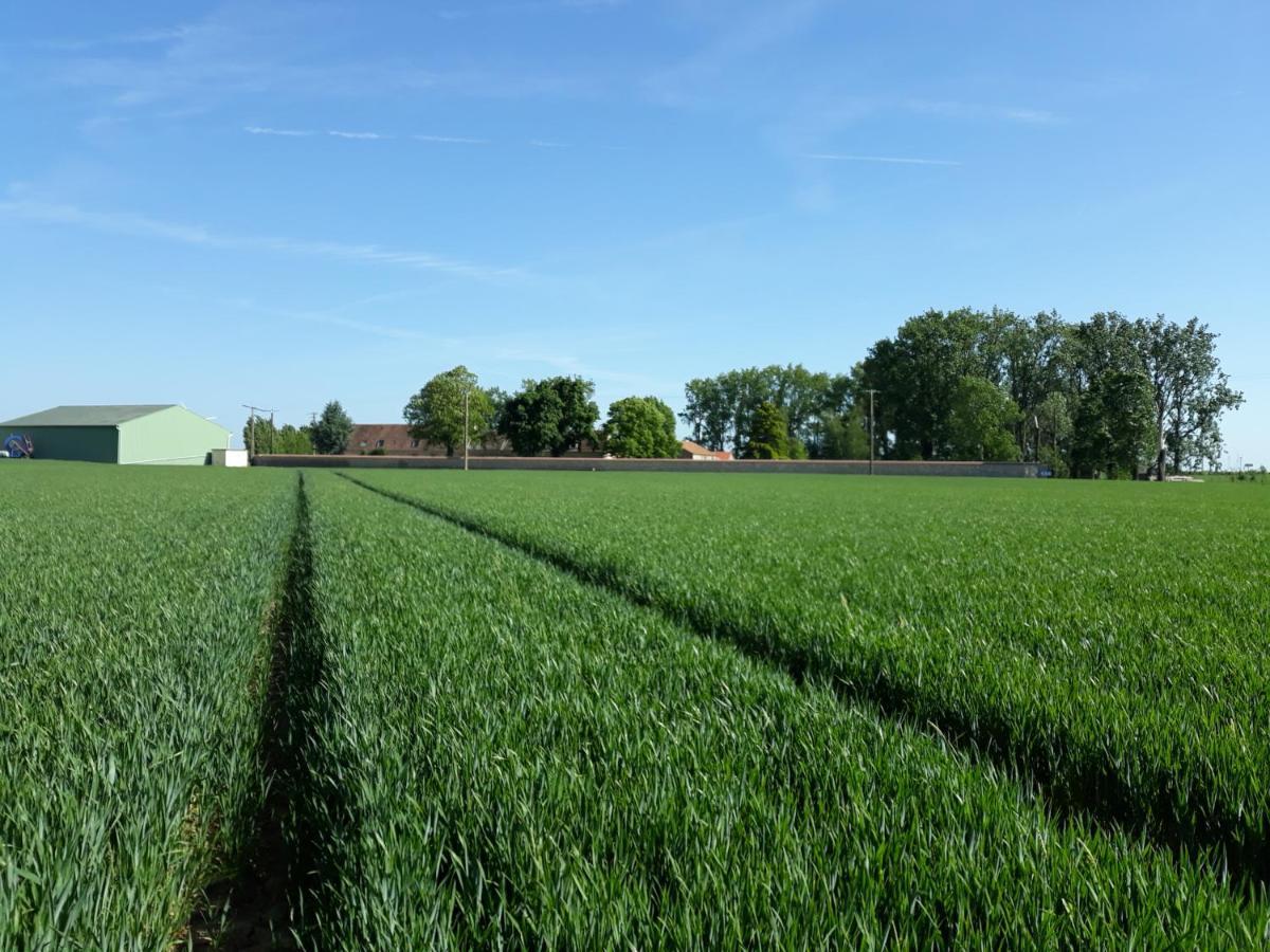 Ferme De Mesangeon Villa Beauvilliers  Luaran gambar